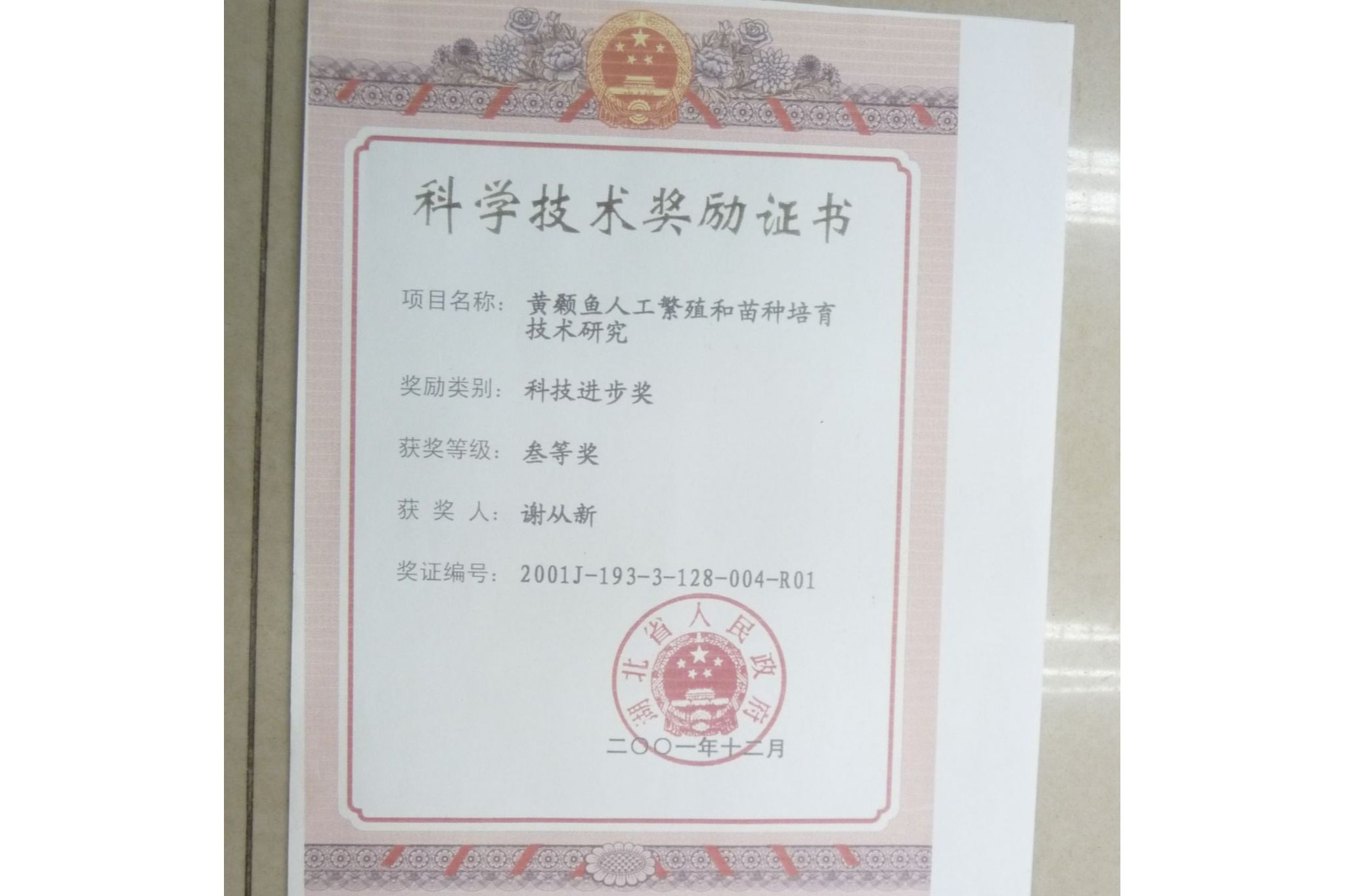 棋牌娱乐