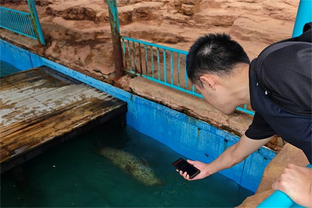 棋牌娱乐