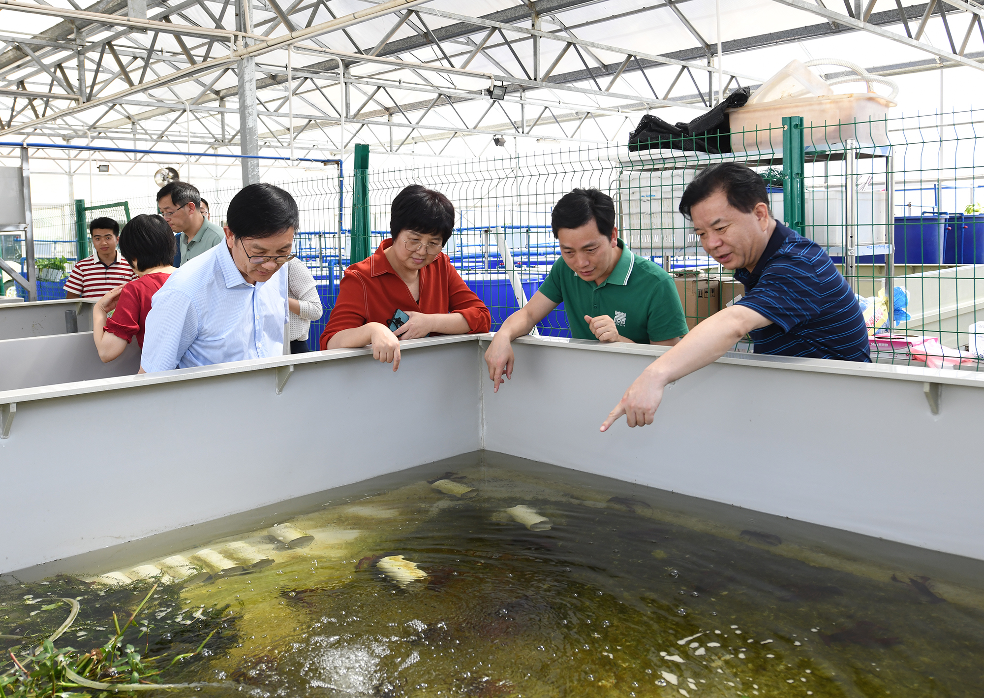 王玲一行调研棋牌娱乐
教学科研基地,查看小龙虾养殖情况(记者 刘涛 摄) 王玲一行调研棋牌娱乐
教学科研基地,查看小龙虾养殖情况(记者 刘涛 摄)