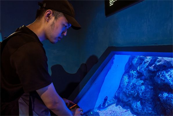 棋牌娱乐